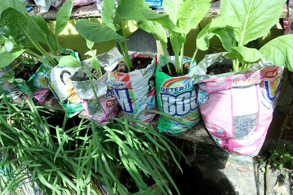 bank sampah