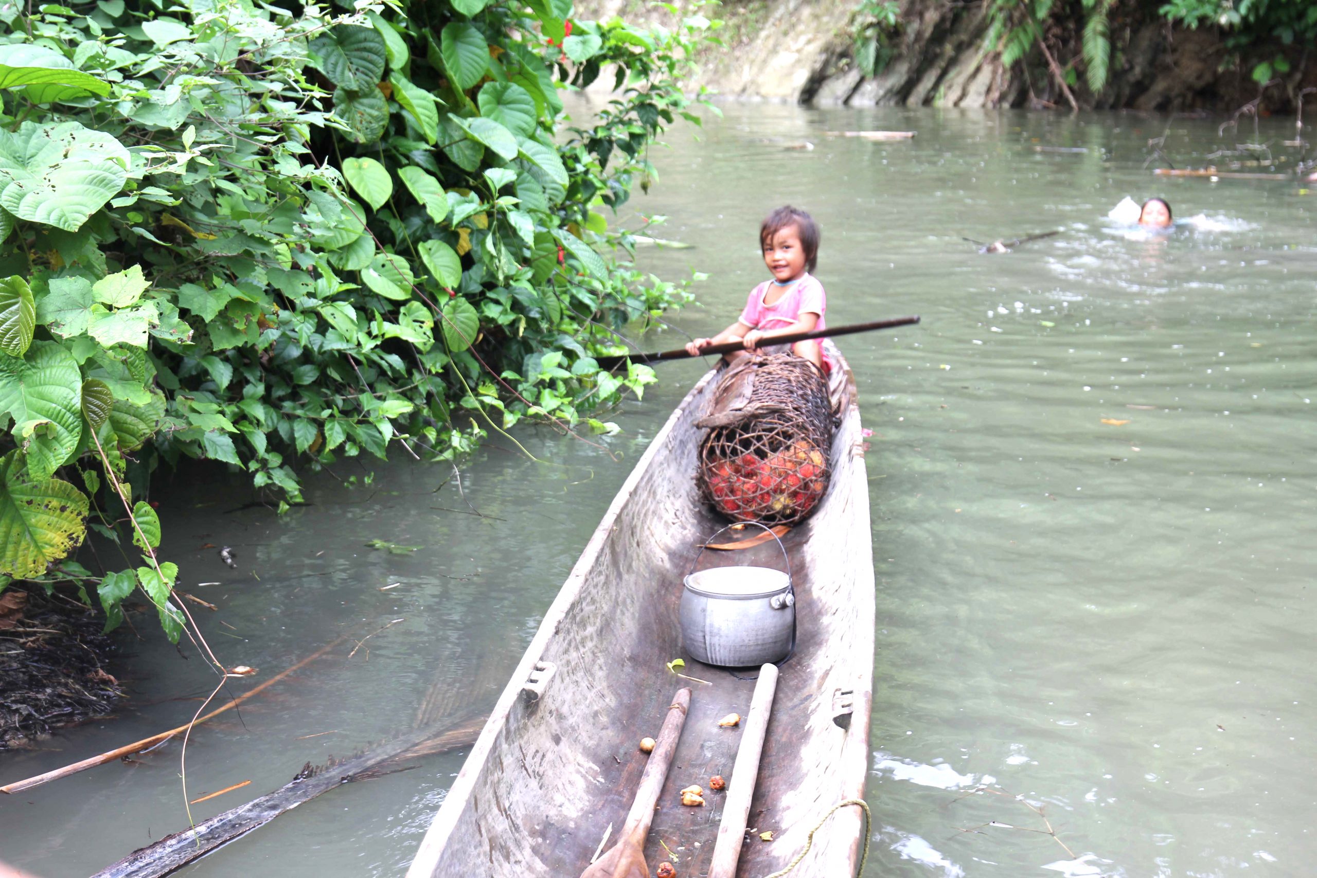 mentawai