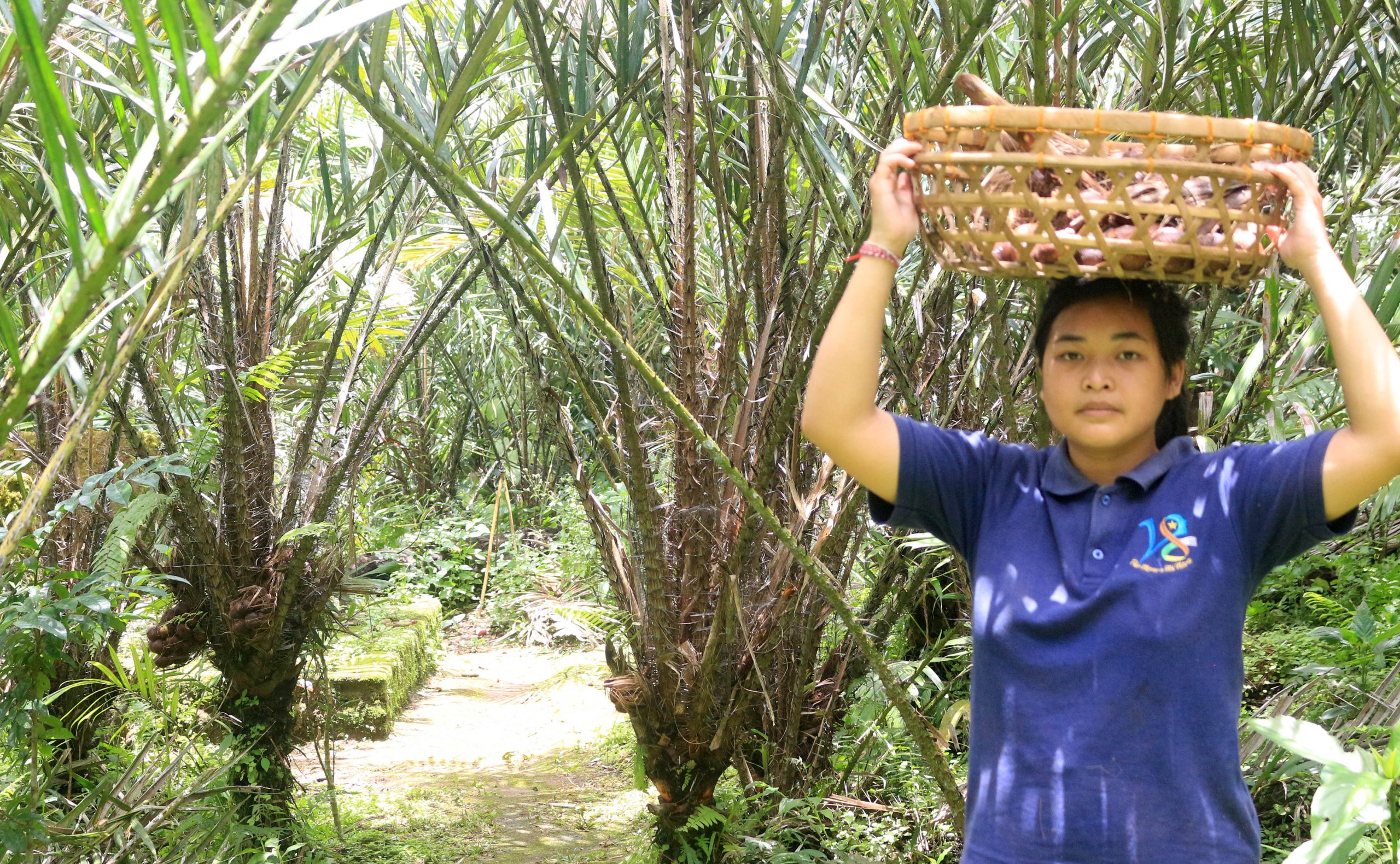 salak bali