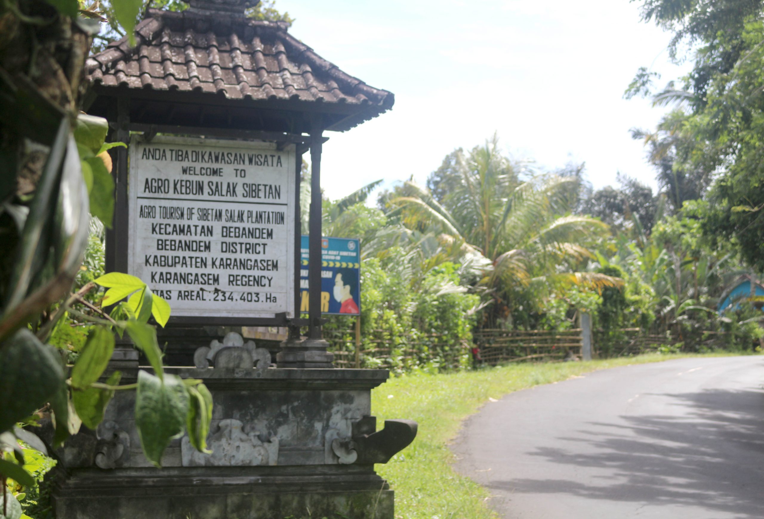 salak bali