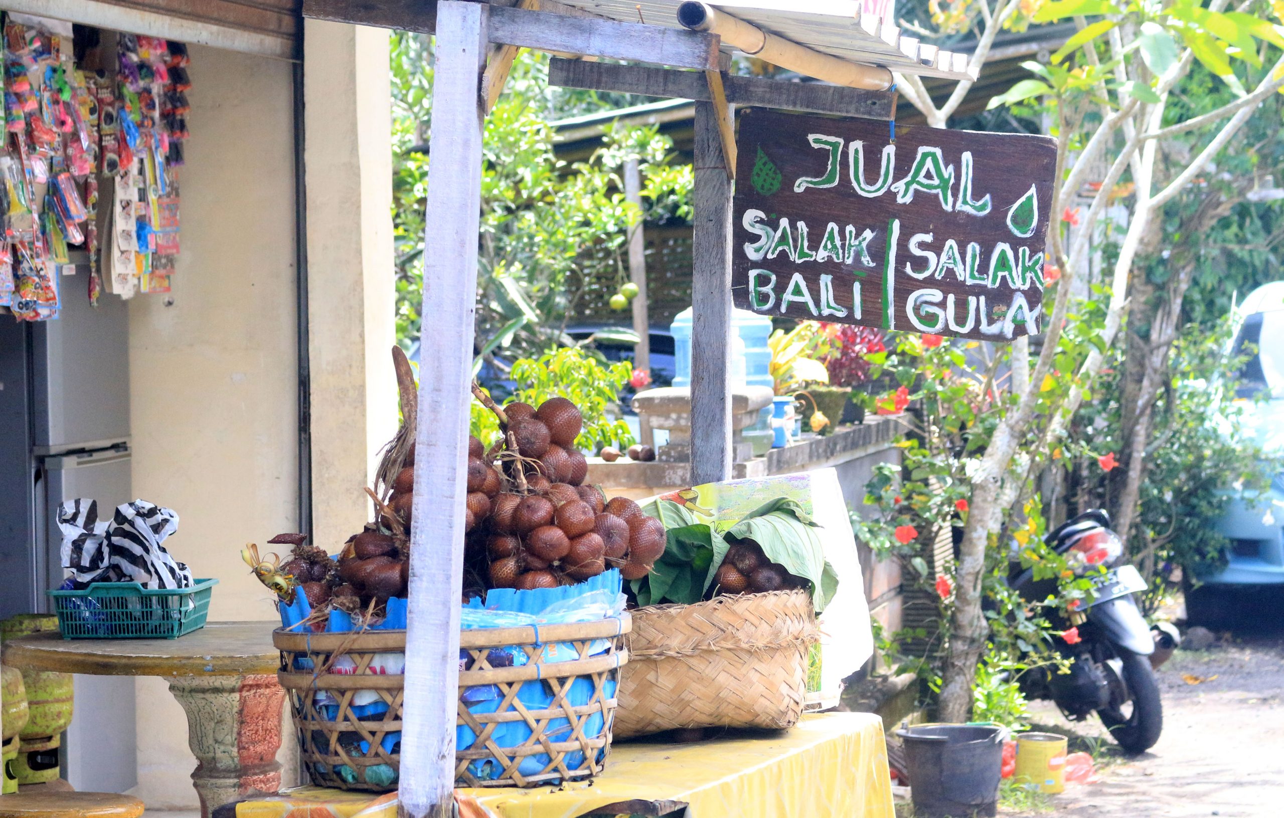 salak bali