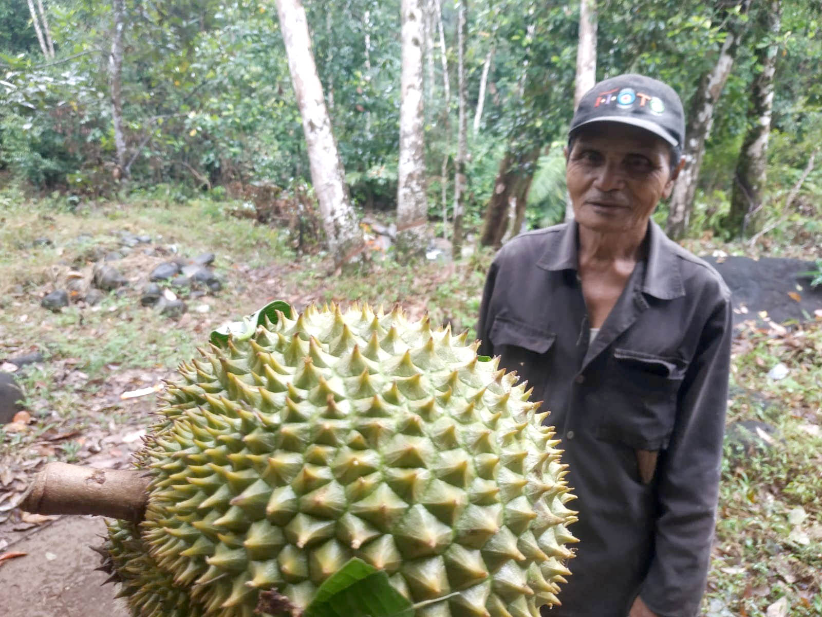 sungai buluh