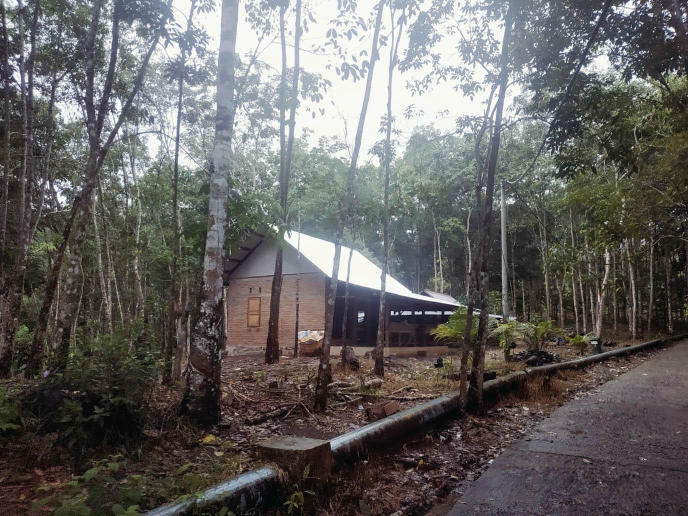 Sungai Buluh