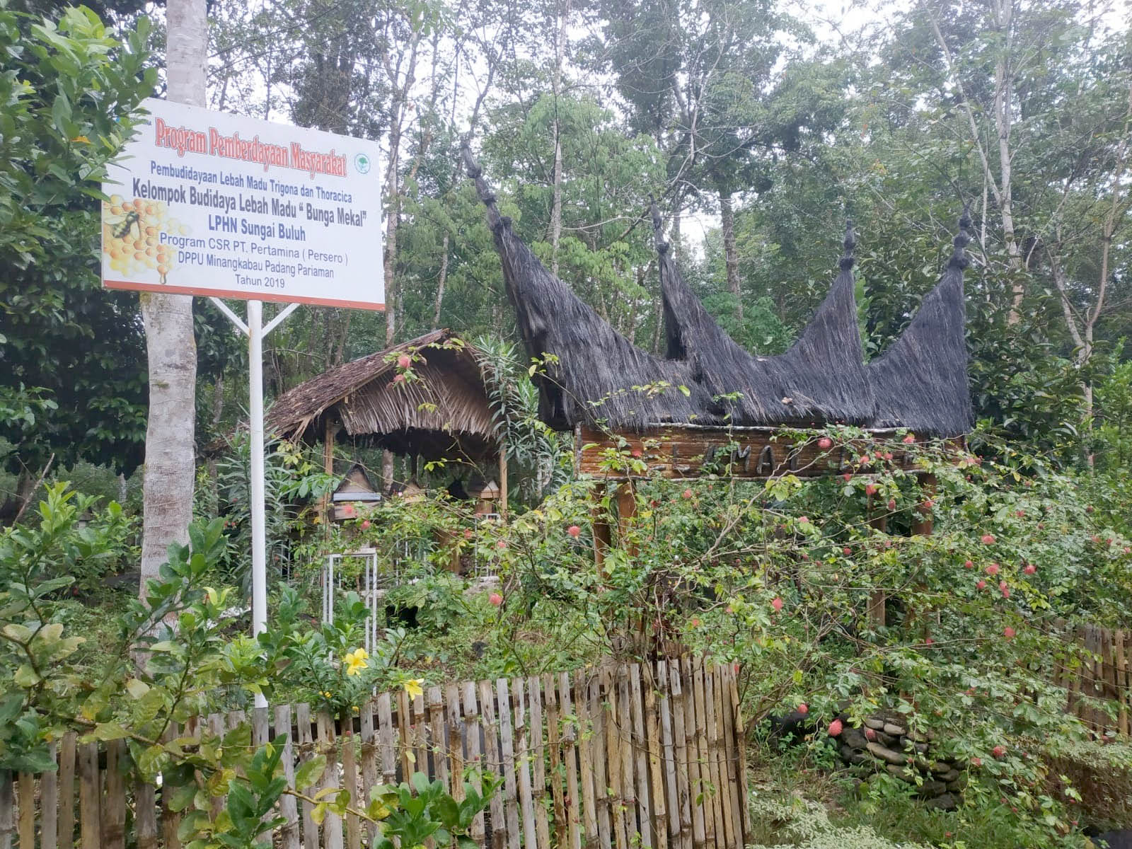 sungai buluh