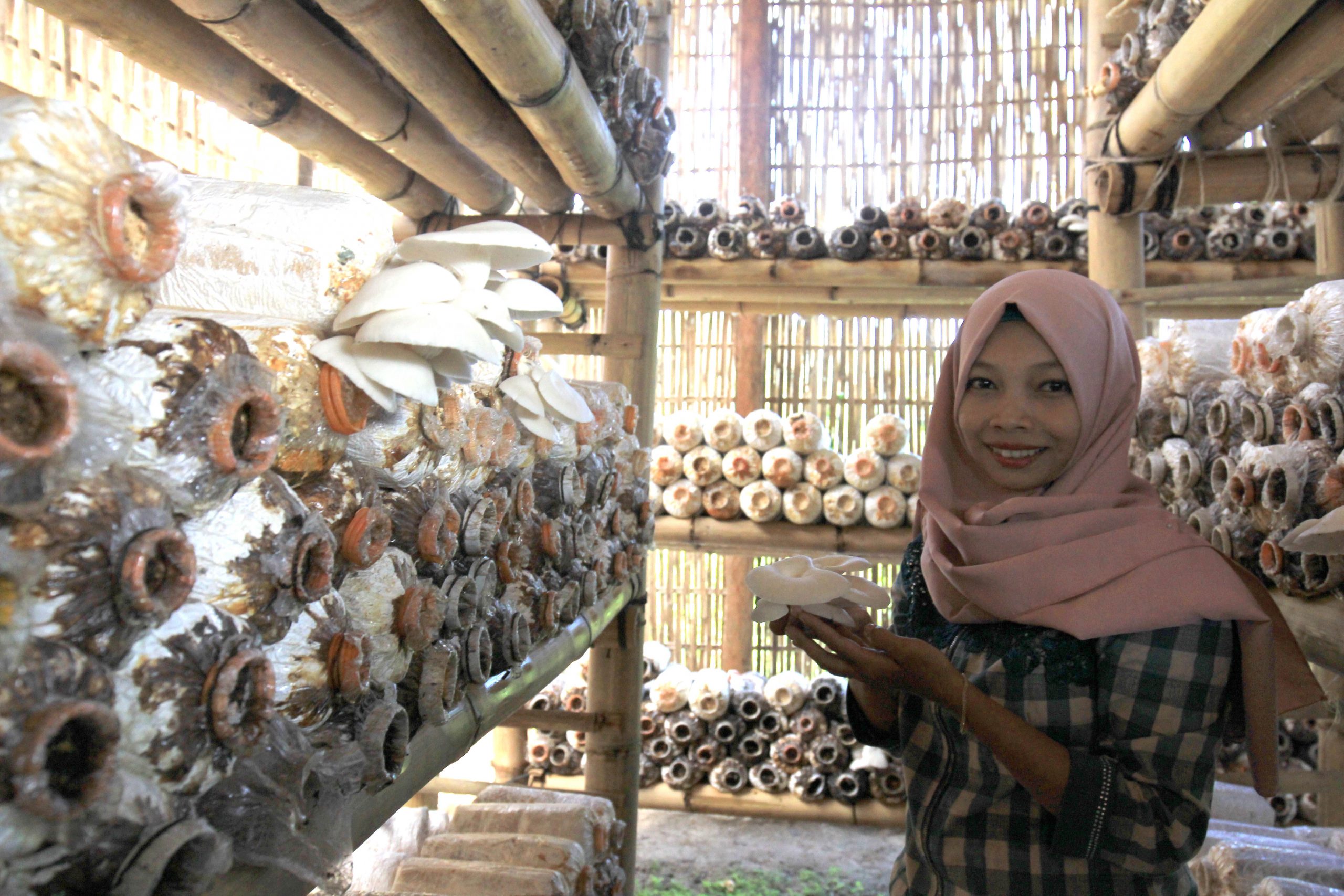 Sungai Buluh