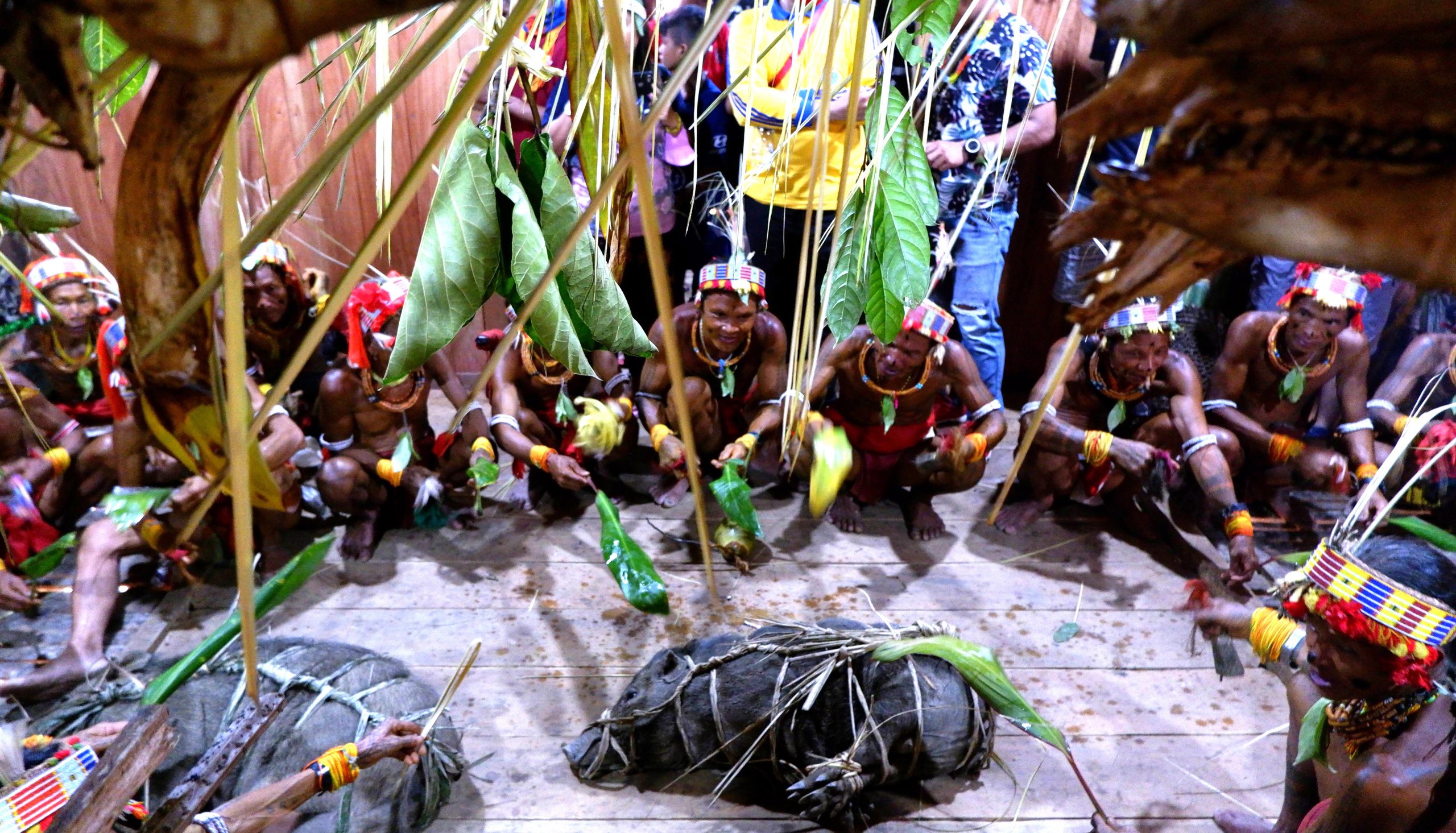 Mentawai