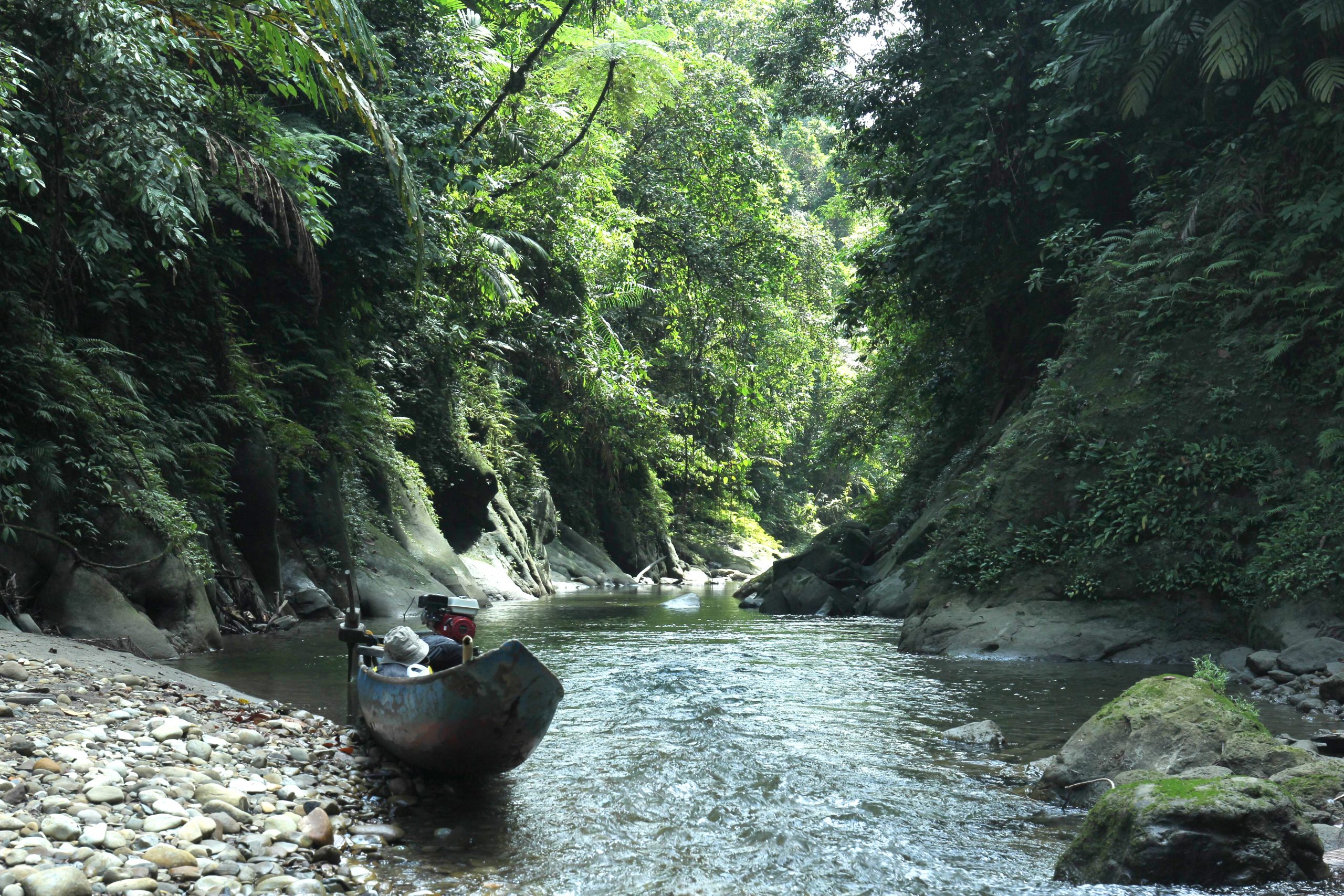 Siberut