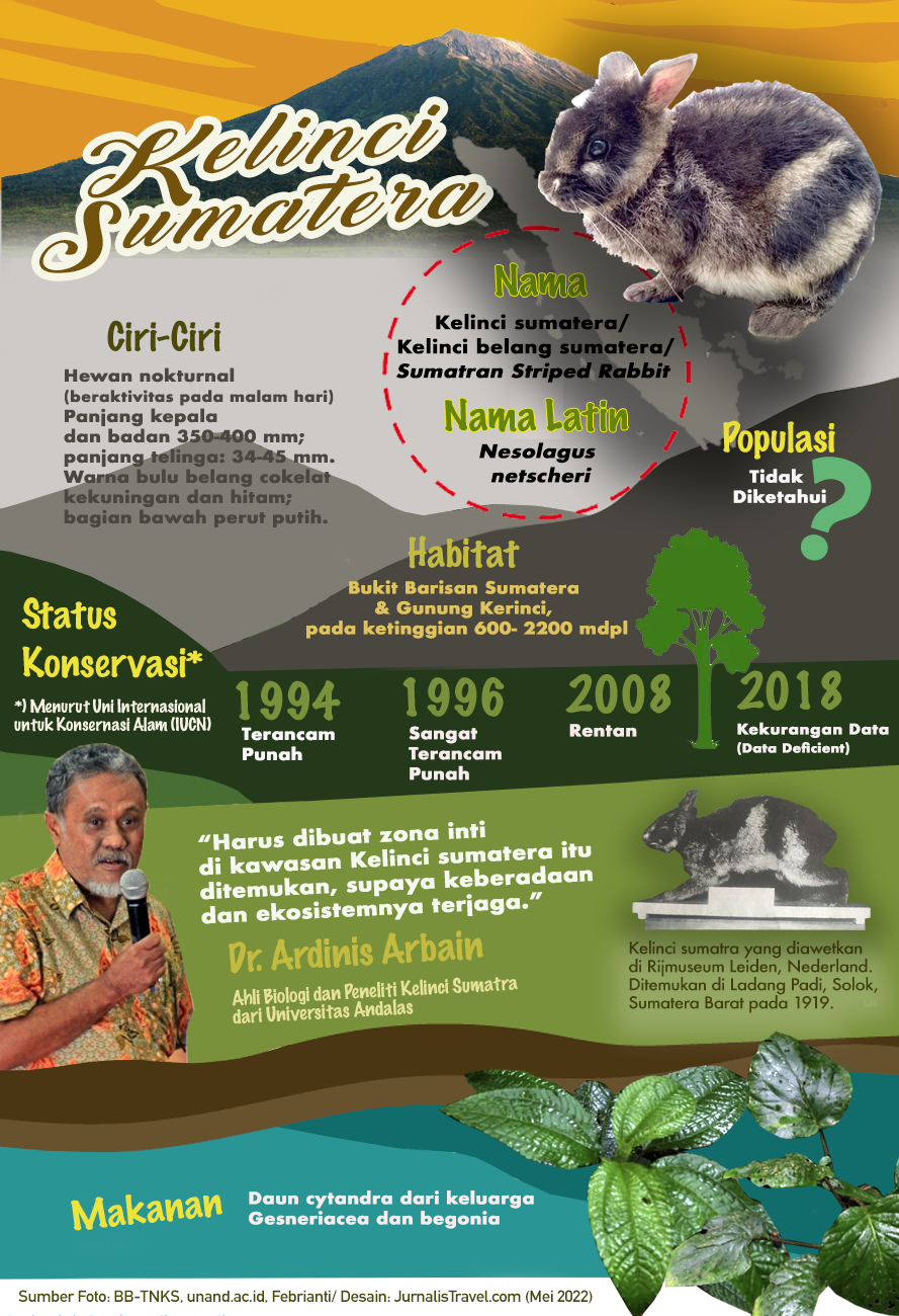 Infografis Kelinci